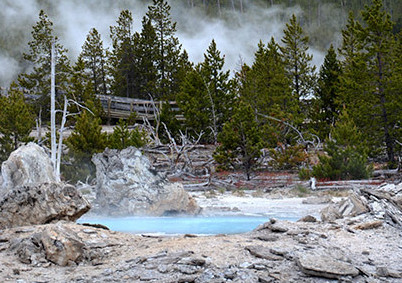 A nice steamy hot sspring at Yellow Stone looking inviting if you're looking to cook a lobster.